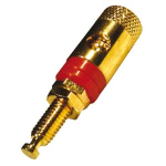 MORSETTO SERRAFILO DORATO 42MM ROSSO