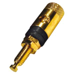 MORSETTO SERRAFILO DORATO 42MM NERO