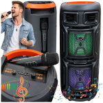 CASSA PORTATILE WIRELESS Bluetooth con USB, radio FM, ingresso AUX e karaoke, grande.  