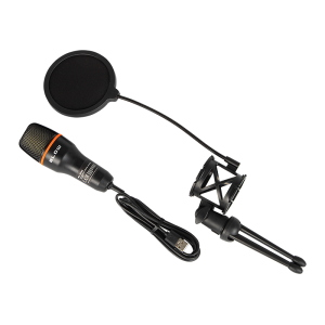 MICROFONO USB DA STUDIO CON TREPPIEDE 